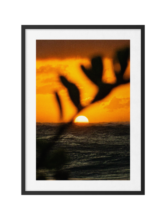 Island Evening Light