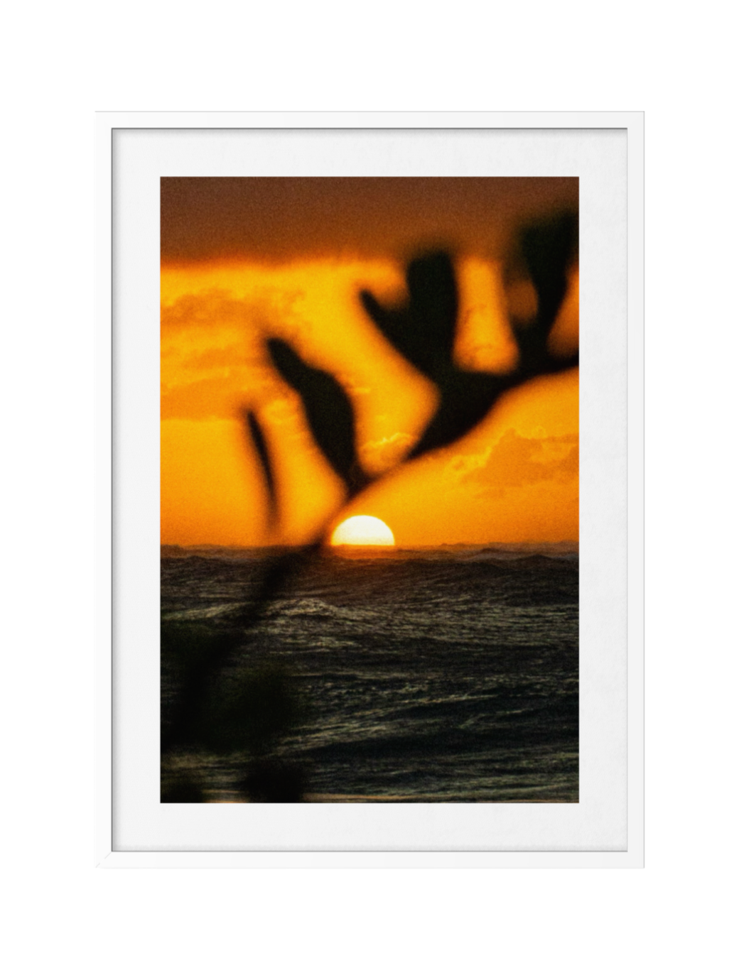 Island Evening Light